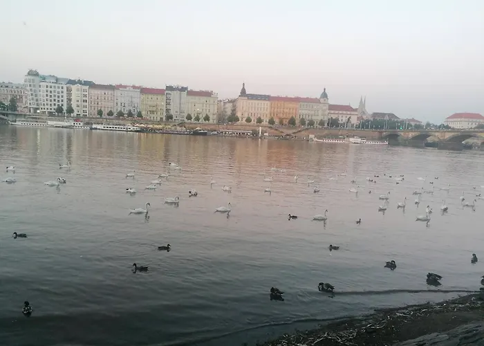Valentinka Minutes Away From Charles Bridge *